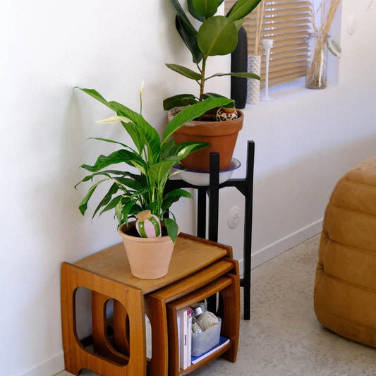 Olla waterpot Groen met Lila strepen