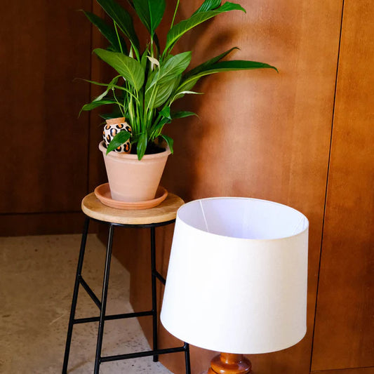 Olla waterpot Leopard