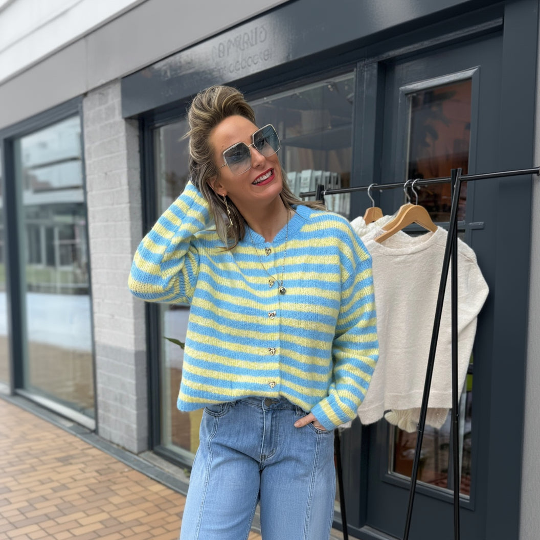 Vest Streep - Blauw/Geel