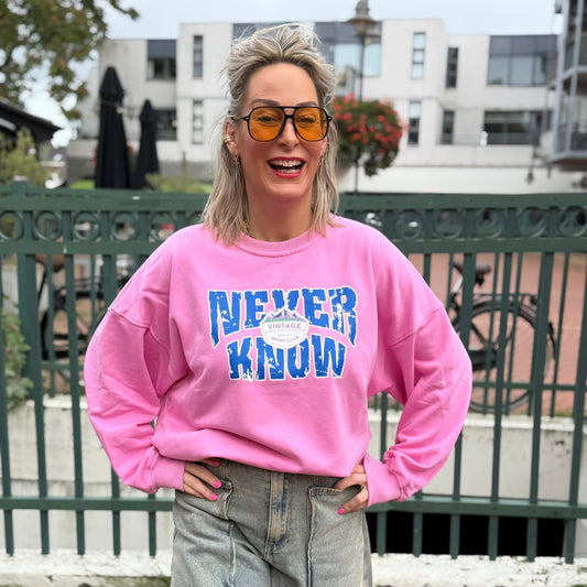 Sweater Never Know - Roze