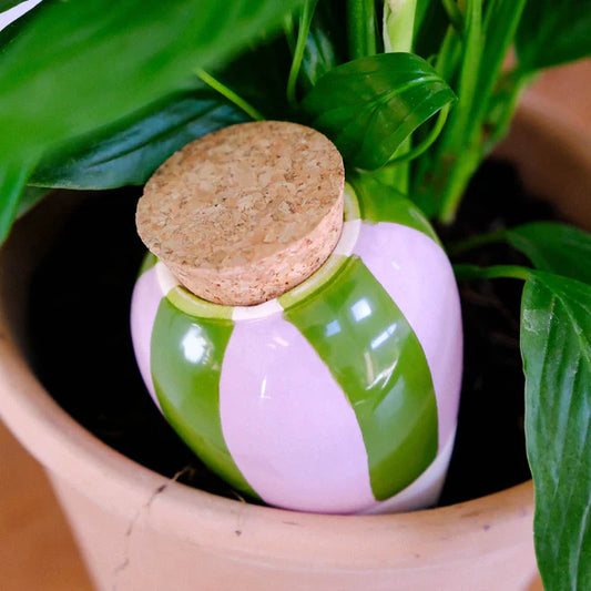 Olla waterpot Groen met Lila strepen