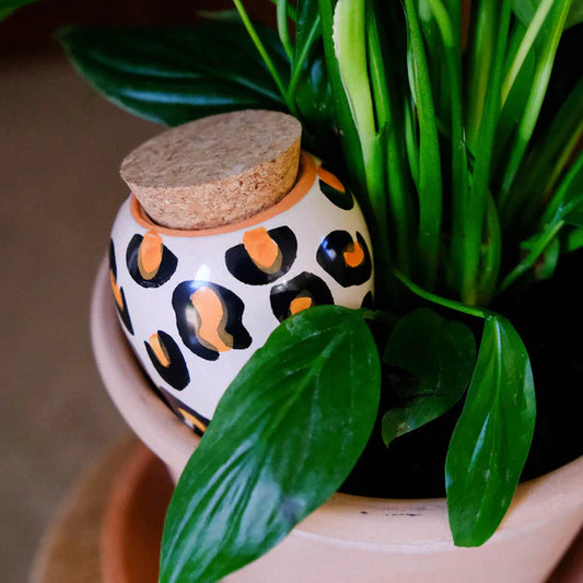 Olla waterpot Leopard