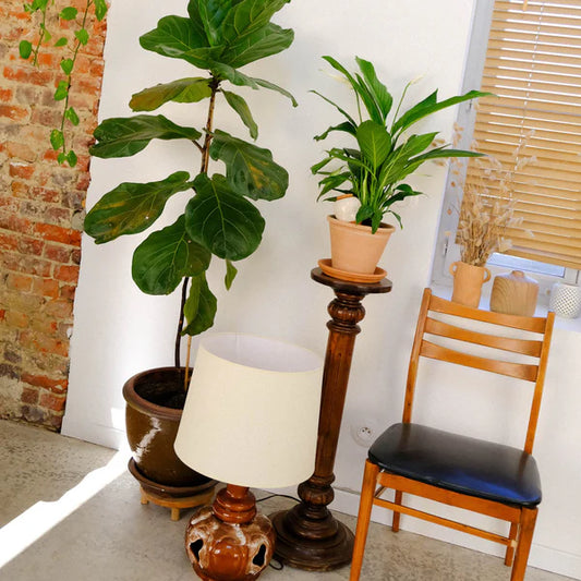 Olla waterpot Korrelig Wit