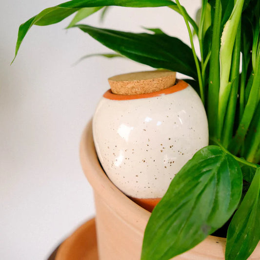 Olla waterpot Korrelig Wit