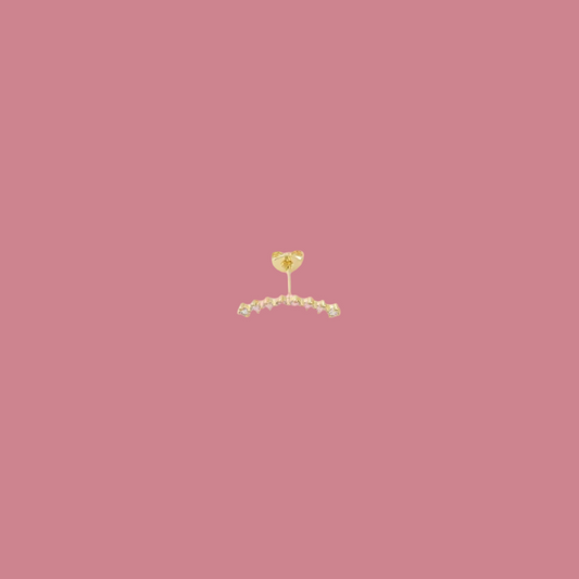 Oorbel Regenboog - Goud