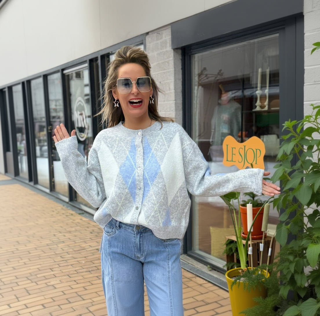 Vest Ruit - Grijs/Blauw