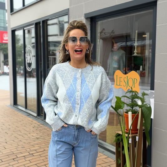 Vest Ruit - Grijs/Blauw