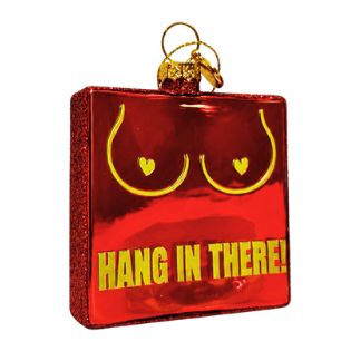 Kerstbal - Hang In There