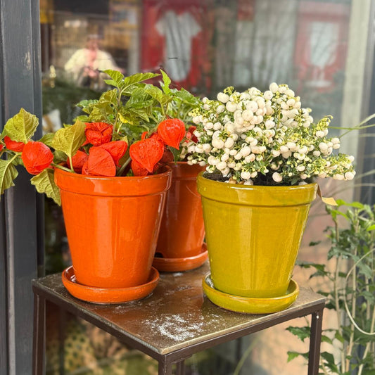 Aardwerk pot - oranje