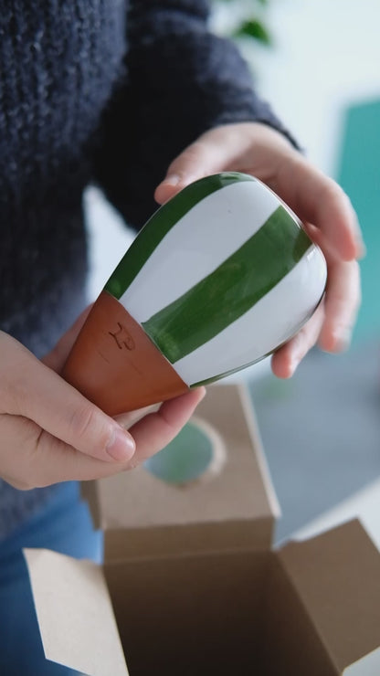 Olla waterpot Groen met Lila strepen